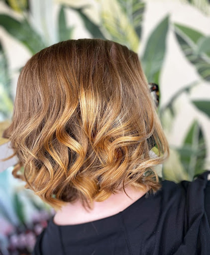 Hair Salon «Aveda Hair Salon-Solaris», reviews and photos, 922 N Burkhardt Rd #103, Evansville, IN 47715, USA