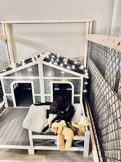 CRANDY dog walking & Animal Care (CRANDY萌寵幼兒園）