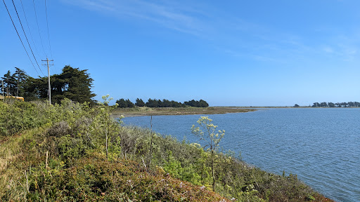Espresso Bar «Captain Davey’s Coffee and Ice Cream», reviews and photos, 537 Smith Brothers Rd, Bodega Bay, CA 94923, USA