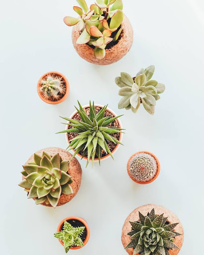 Florist «Happiness is... The Little Flower Shop», reviews and photos, 39277 Grand River Ave, Farmington Hills, MI 48335, USA