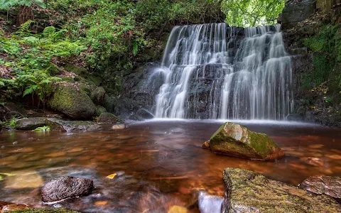 Tigers Clough image