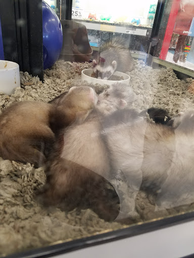 Pet Supply Store «Petco Animal Supplies», reviews and photos, 753 53rd Ave NE, Fridley, MN 55421, USA