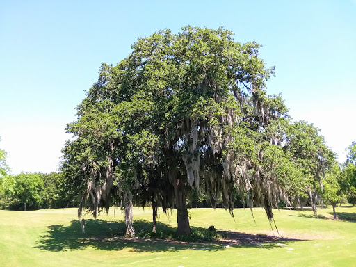 Golf Course «BlackHorse Golf Club», reviews and photos, 12205 Fry Rd, Cypress, TX 77433, USA