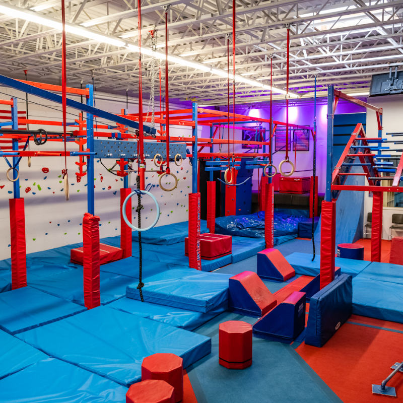 Conquer Ninja Gyms Eden Prairie