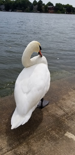 Park «Red Bridge Park», reviews and photos, 697 W Jackson St, Cicero, IN 46034, USA