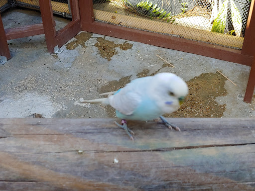 Aquarium «Audubon Aquarium of the Americas», reviews and photos, 1 Canal St, New Orleans, LA 70130, USA