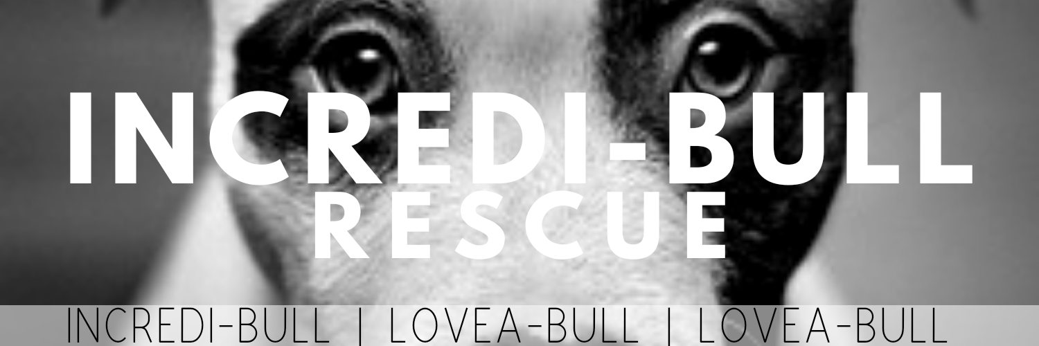 Incredi-Bull Rescue