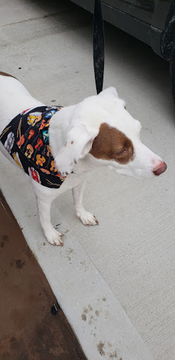 Aquarium Shop «Something Fishy Inc.», reviews and photos, 4764 State Rd, Cleveland, OH 44109, USA