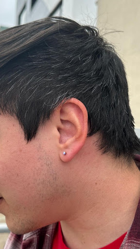 Explore eragon tattoo ideas, creative tattoo ideas in San Diego, available at Rose Body Piercing