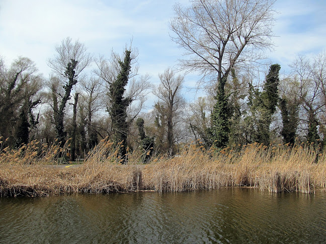 Dunaharaszti, külső kocsiszín (kapu, 2330 Magyarország