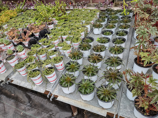 Plant Nursery «Blooming Acres», reviews and photos, 7561 State Rd, Wadsworth, OH 44281, USA