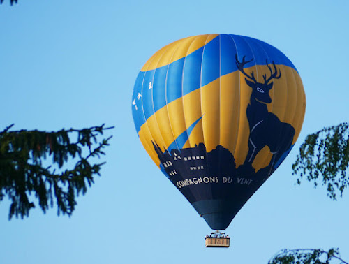 Agence de vols touristiques en montgolfière Compagnons du Vent Vineuil