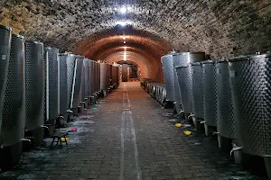 Wine cellar Bajilo image