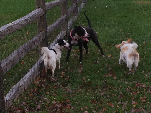 Nature Preserve «Larsen Nature Preserve», reviews and photos, 1720 Western Ave, Waukegan, IL 60085, USA