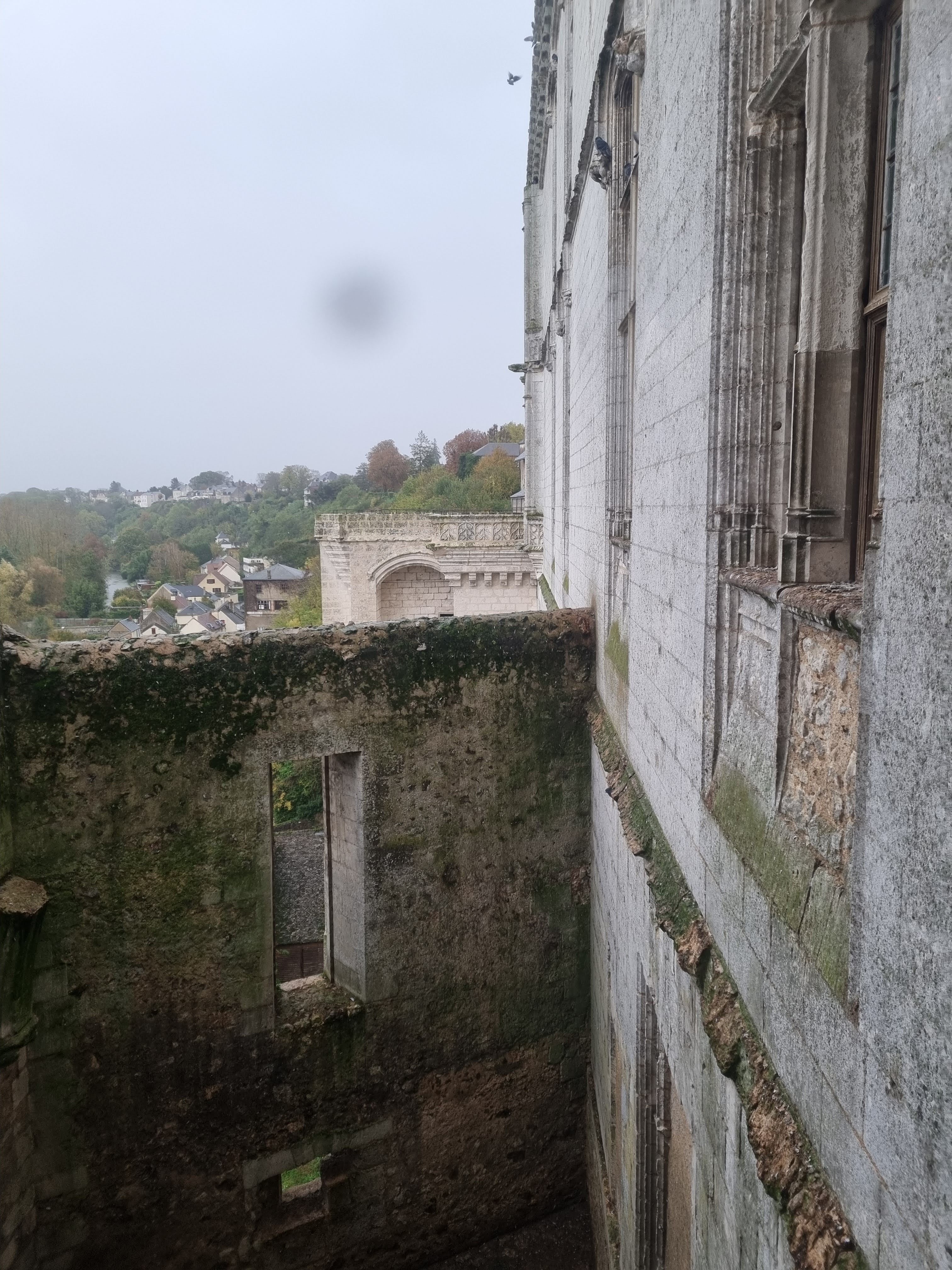 Photo n° 9 de l'avis de Josiane.T fait le 11/11/2023 à 17:09
