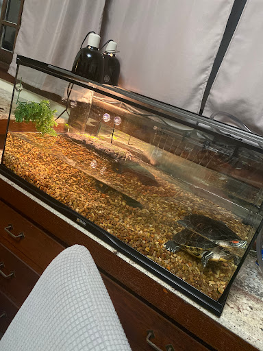 Pet Supply Store «PetSmart», reviews and photos, 3610 Rosecrans St, San Diego, CA 92110, USA