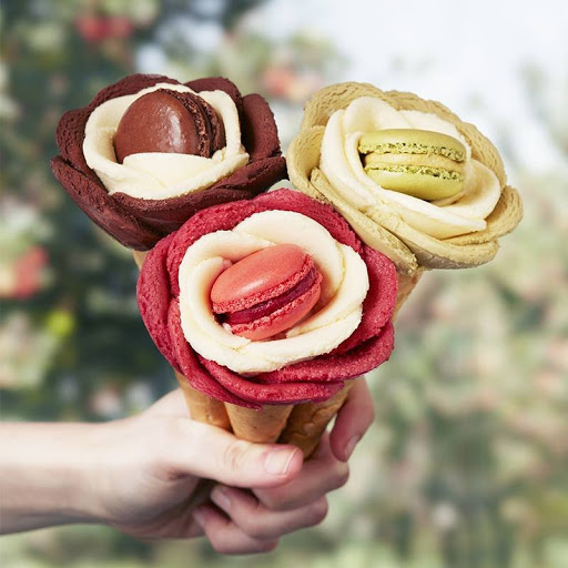 Dessert Shop «Amorino Raleigh», reviews and photos, 137 E Davie St, Raleigh, NC 27601, USA