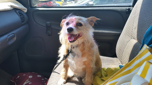 Water Park «NRH2O Family Water Park», reviews and photos, 9001 Boulevard 26, North Richland Hills, TX 76180, USA