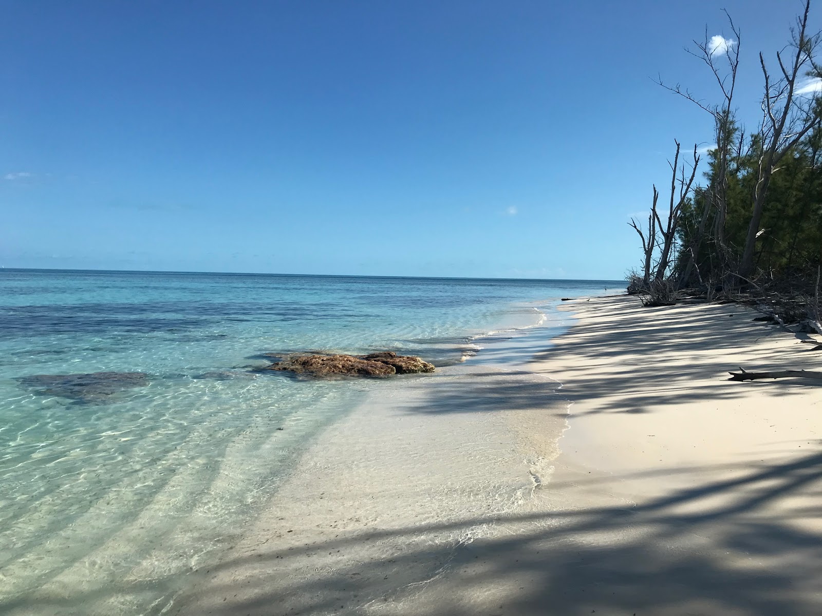 Blue Lagoon beach II'in fotoğrafı geniş bir kıyı şeridi ile birlikte