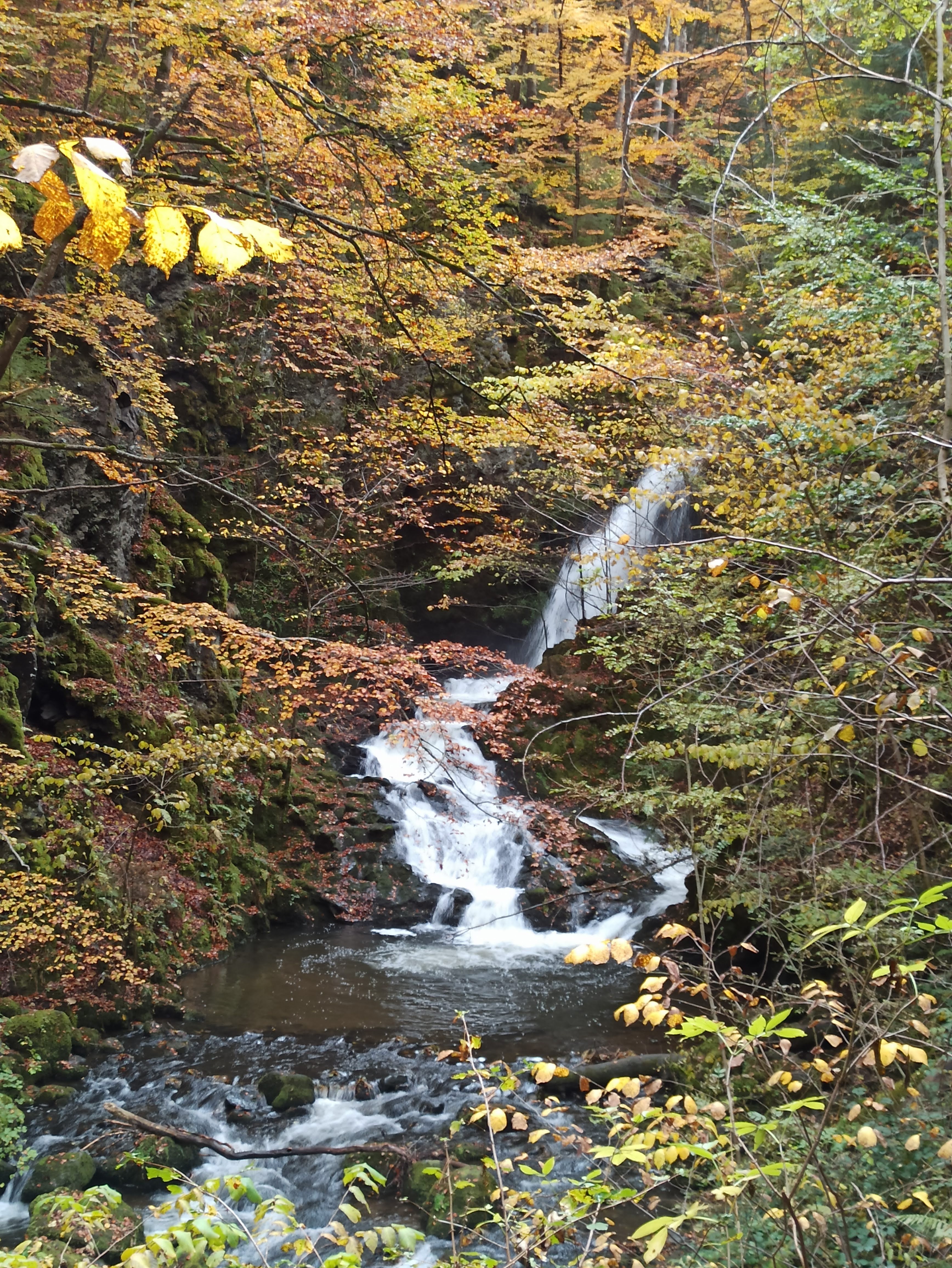 Photo n° 3 de l'avis de GAELLE.e fait le 24/10/2020 à 09:23