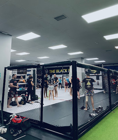 The Black Panther Gym - Calle del Cidro, 22, 28044 Madrid, Spain