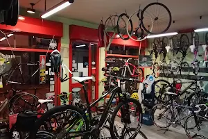 "Bike Shop" di Paolo image