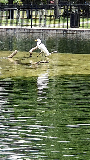 Park «Riverside Park», reviews and photos, 753 Park St, Jacksonville, FL 32204, USA