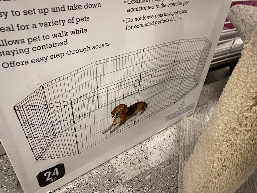 Clothing Store «Ross Dress for Less», reviews and photos, 1800 Rock Road, Derby, KS 67037, USA