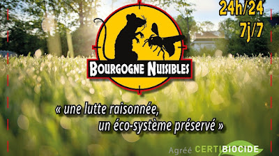 EURL Bourgogne Nuisibles à Monéteau