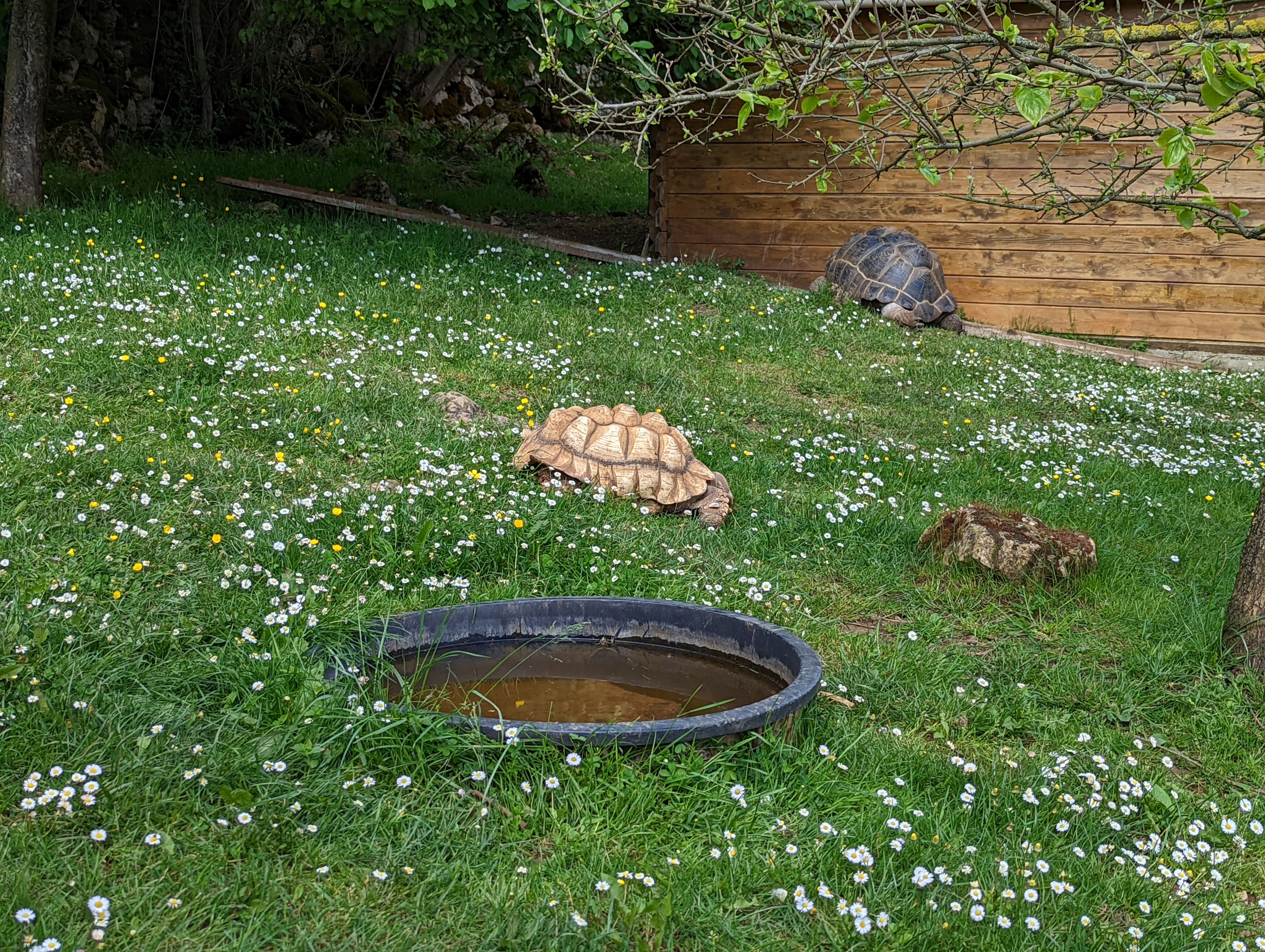 Photo n° 24 de l'avis de Mathieu.I fait le 07/05/2022 à 19:56