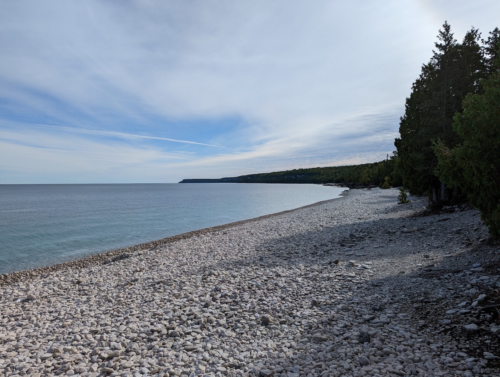 Halfway Log Dump'in fotoğrafı - tatil için iyi evcil hayvan dostu nokta