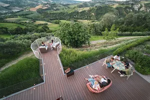 Tenuta Cocci Grifoni - Terrazza Cocci Grifoni image