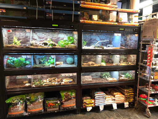 Pet Supply Store «All Pets Club», reviews and photos, 479 E Main St, Branford, CT 06405, USA