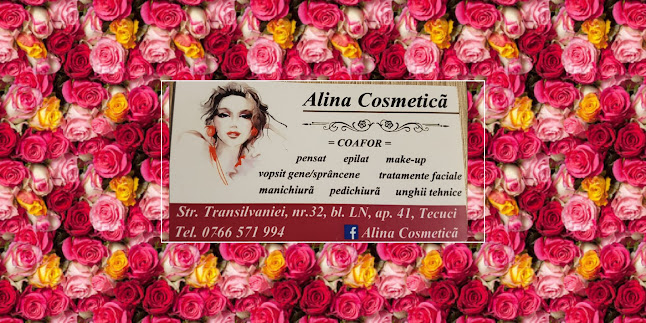 Opinii despre Salon Alina Cosmetică în <nil> - Coafor