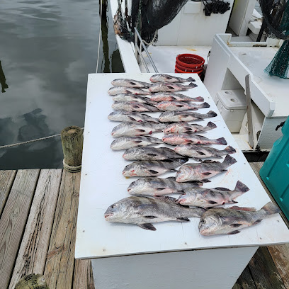 Reel Livin Fishing Charters