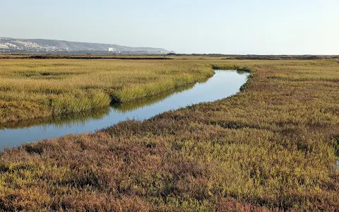 Tijuana Slough National Wildlife Refuge image