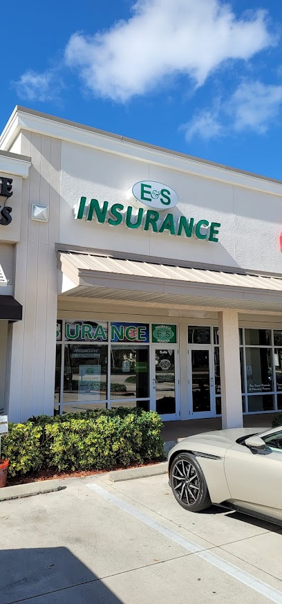 E & S Insurance LLC