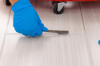 Freedom Carpet Pros - Photo 1 - Car repair in , Henderson