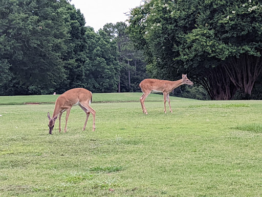 University «University Golf Course», reviews and photos, 2600 Riverbend Rd, Athens, GA 30605, USA