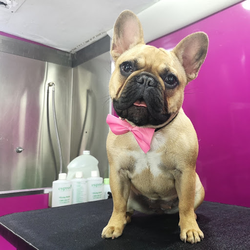 VIP pets Toilettage Mobile Pet Grooming