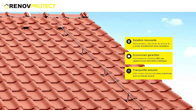 RENOVPROTECT à Auterive