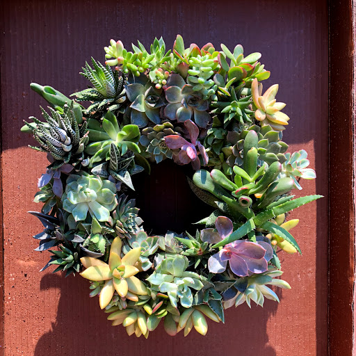 Wholesale Florist «Urban Jungle», reviews and photos, 2603 Sherman Ave NW, Washington, DC 20001, USA