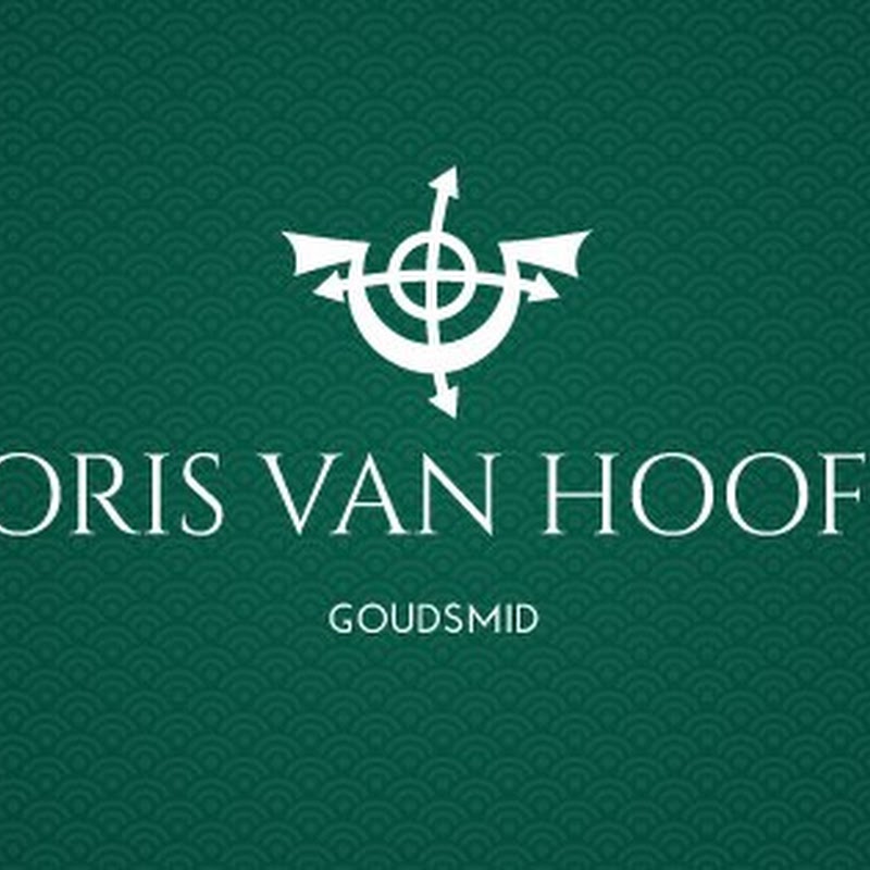 Joris van Hooff Goudsmid