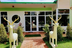 Ko Khao Country Resort image