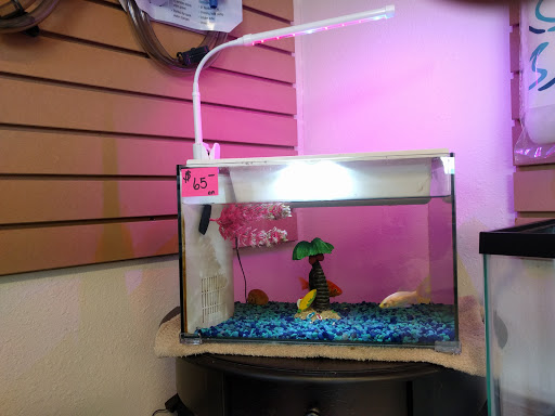 Tropical Fish Store «Aquaria Masters», reviews and photos, 411 Tia Juana St, Colorado Springs, CO 80909, USA
