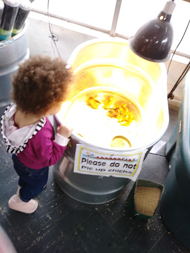 Animal Feed Store «Columbia Electric Feed & Seed», reviews and photos, 1421 Columbia Blvd, St Helens, OR 97051, USA