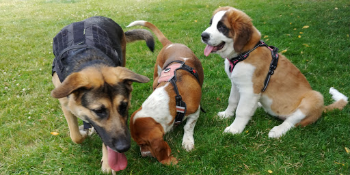 Live Music Venue «Revolution Hall», reviews and photos, 1300 SE Stark St #110, Portland, OR 97214, USA