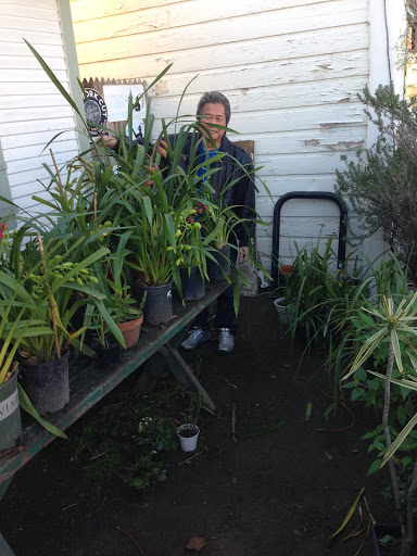 Tobacco Shop «Green House Smoke Shop», reviews and photos, 1428 Abbot Kinney Blvd, Venice, CA 90291, USA