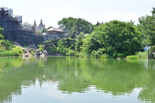 Movie Theater «Alpine Cinema», reviews and photos, 6817 5th Ave, Brooklyn, NY 11220, USA