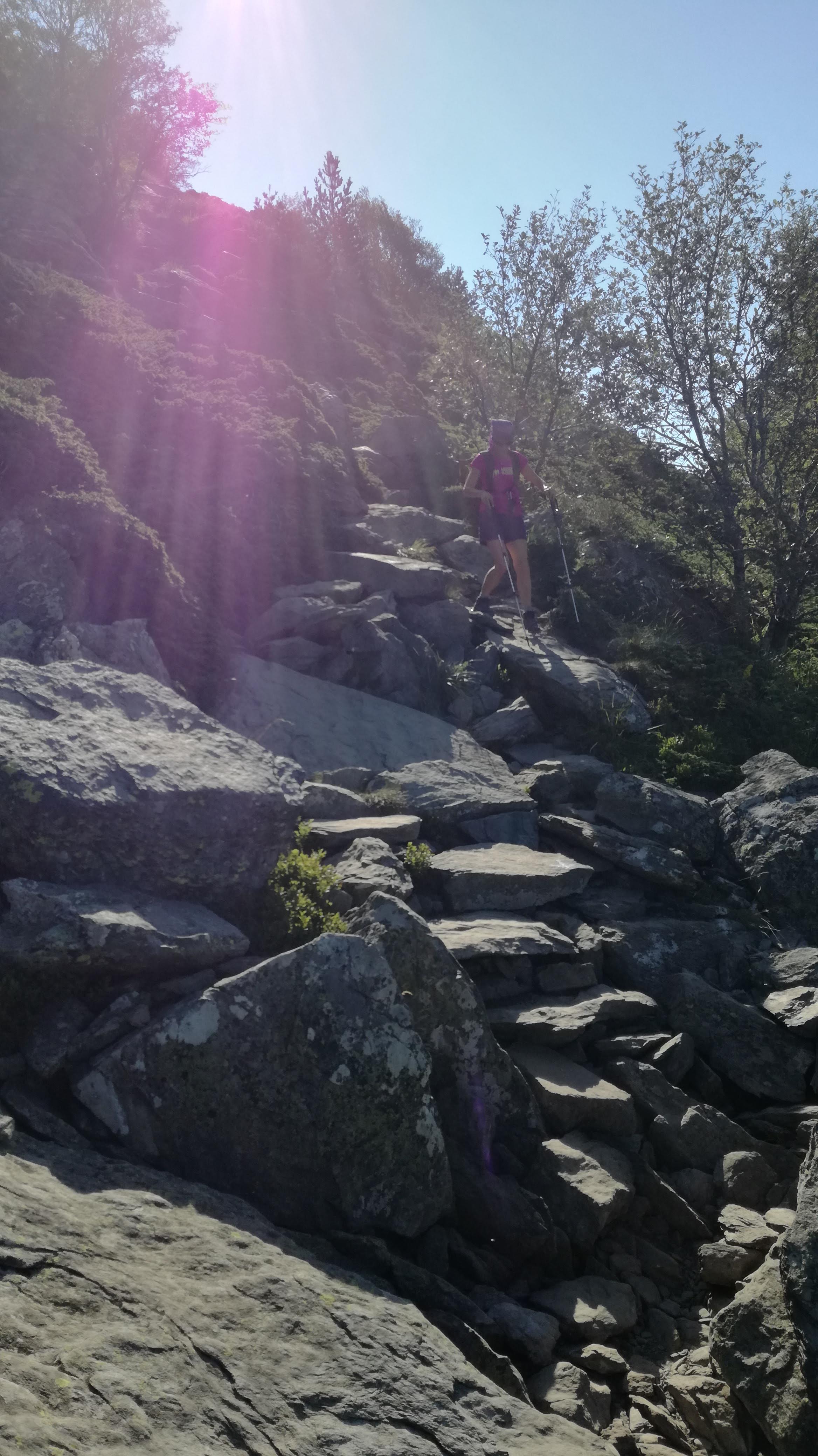 Photo n° 13 de l'avis de Thierry.i fait le 31/07/2018 à 12:45